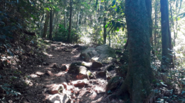 img-pico-do-jaragua-1