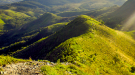 img-treini-especial-morro-do-saboo-1