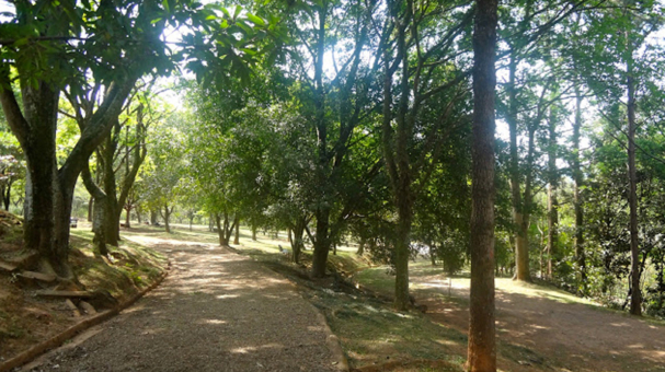 img-parque-anhanguera-1