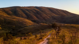 img-parque-juquery-2